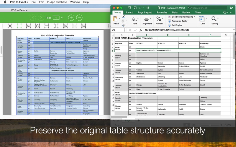 PDF to Excel +