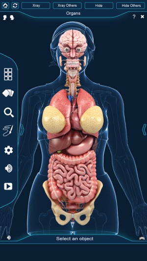 My Organs Anatomy(圖3)-速報App