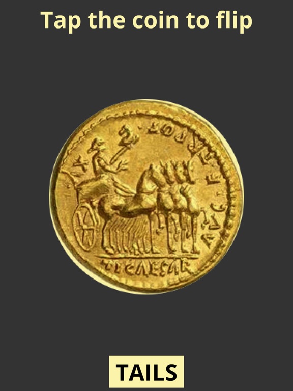 iPad Image of HeadsTails
