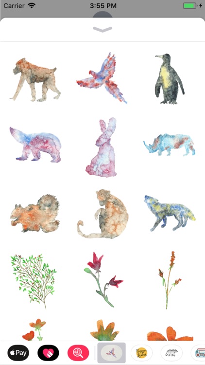 Watercolor Animals and Florals