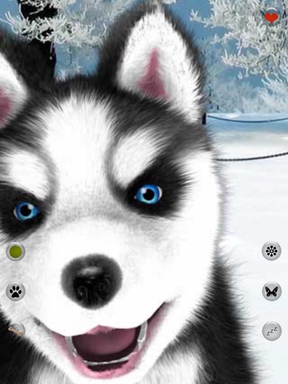 Talking Dog Virtual Pet Husky iPad screenshot 2 - Games app