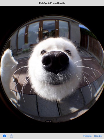 FishEye Camera & Photo Doodleのおすすめ画像1