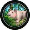 Pig Hunt 2017 App Feedback