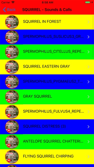 2000+ Animal Sounds Calls Screenshot
