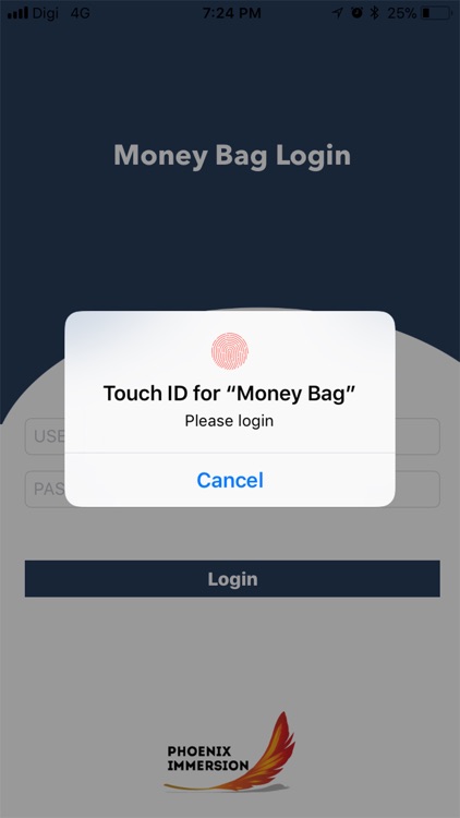 Money Bag