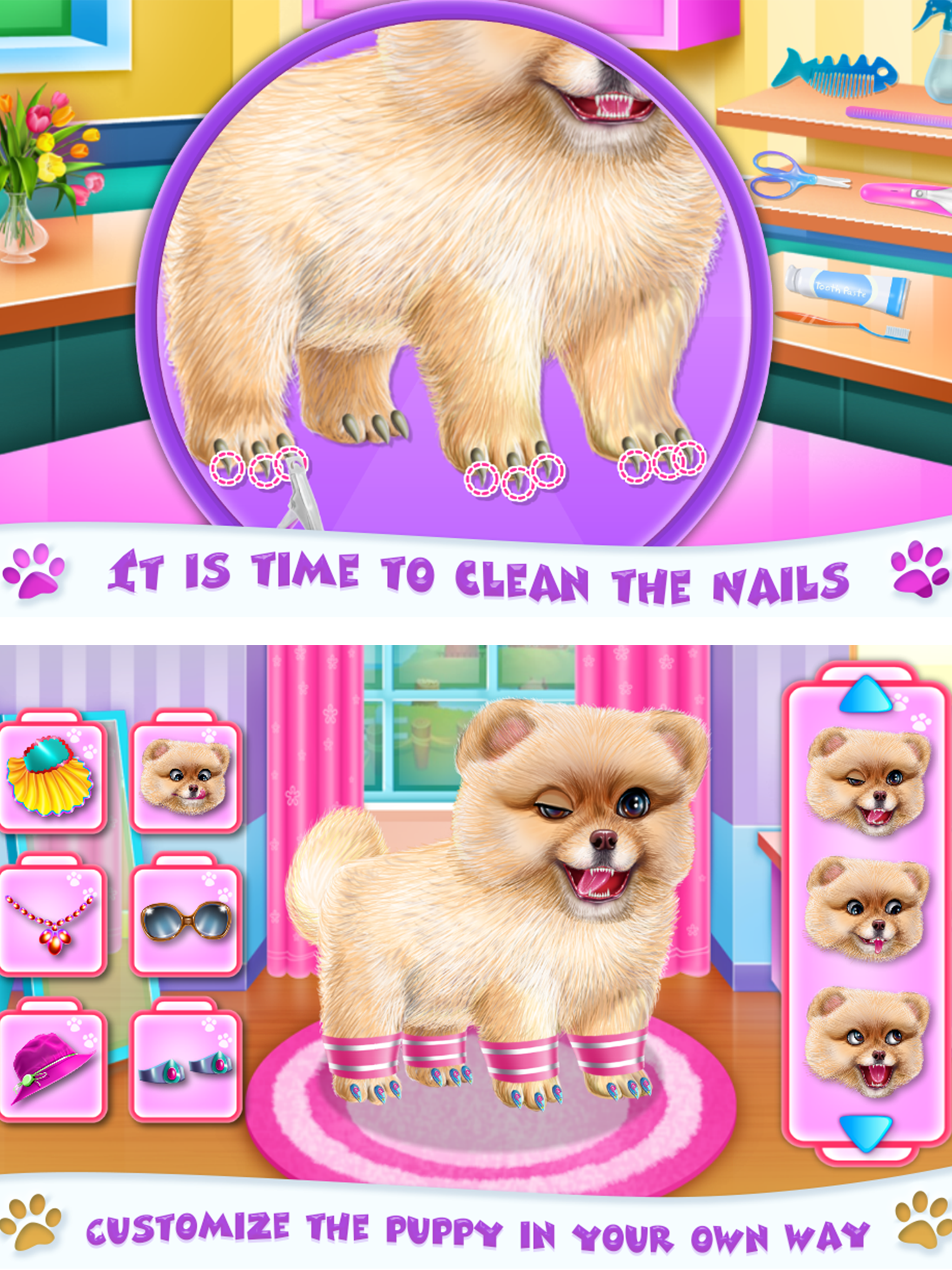Pomeranian Puppy Day Care