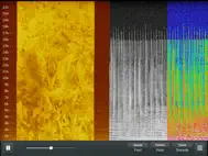 Spectrum Analyzer RTA ipad bilder 3