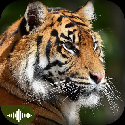Animal Sounds Puzzles for Kids Читы