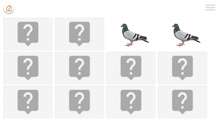 Baby Learn - HINDI screenshot-3