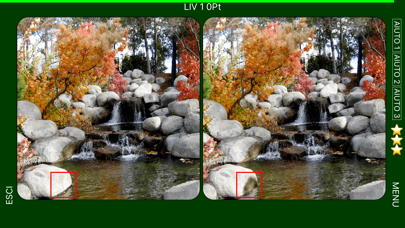 Find The Differences Landscape iPhone screenshot