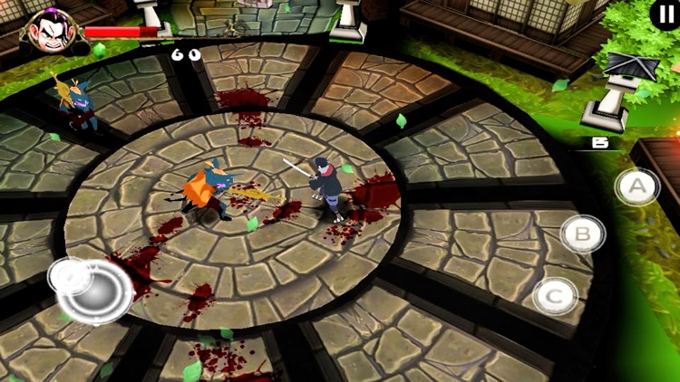 Warrior Sword Attack