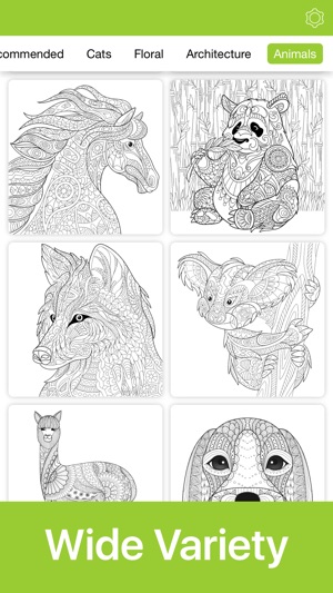 Adult Kid Number Coloring Book(圖2)-速報App