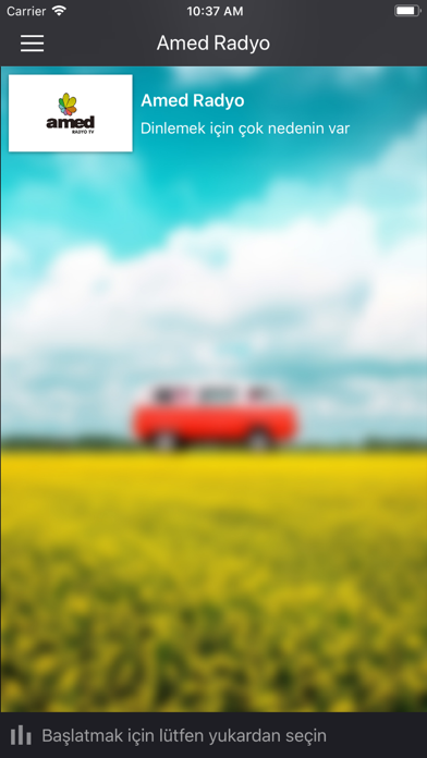 Screenshot #2 pour AmedRadyoTV