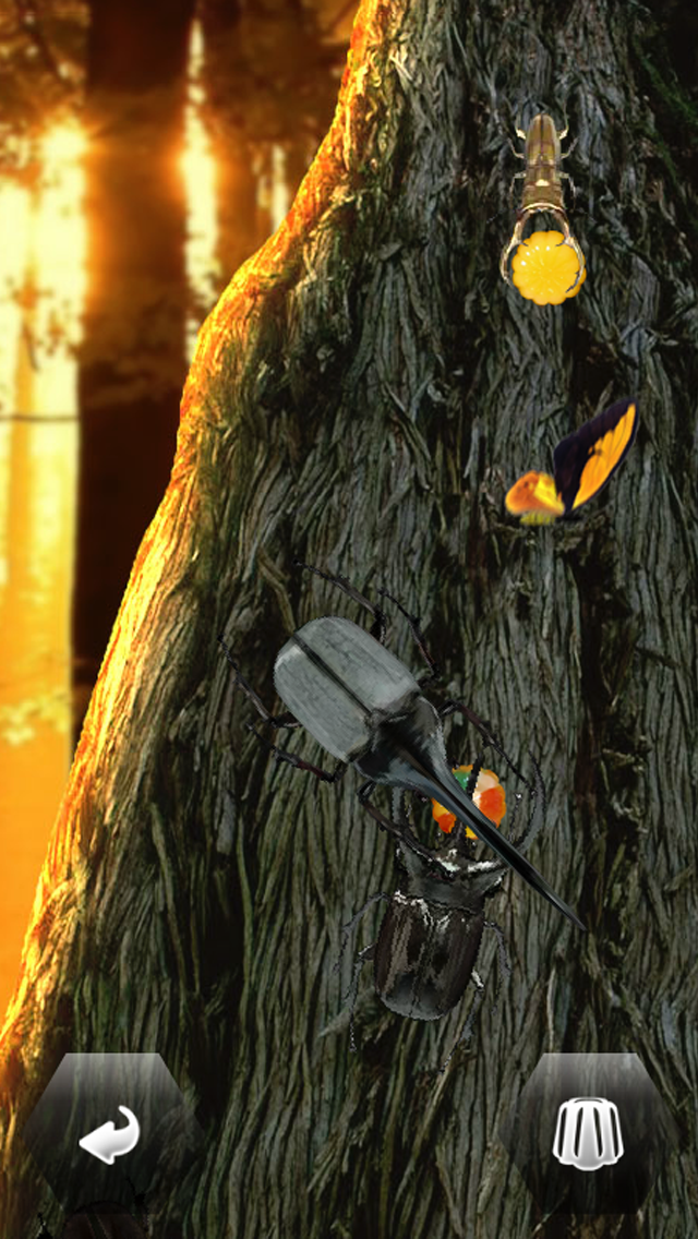 世界の昆虫採集ライト