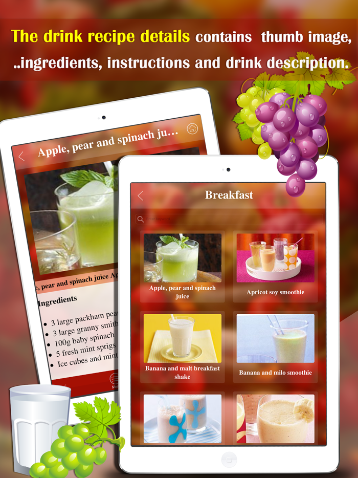 Drink Recipes and Cocktails