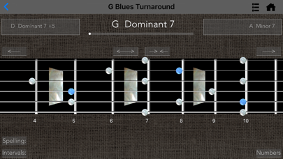 Screenshot #2 pour Fingerboard Explorer