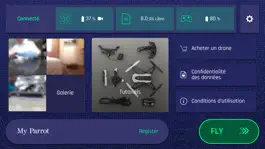 Game screenshot FreeFlight Mini hack
