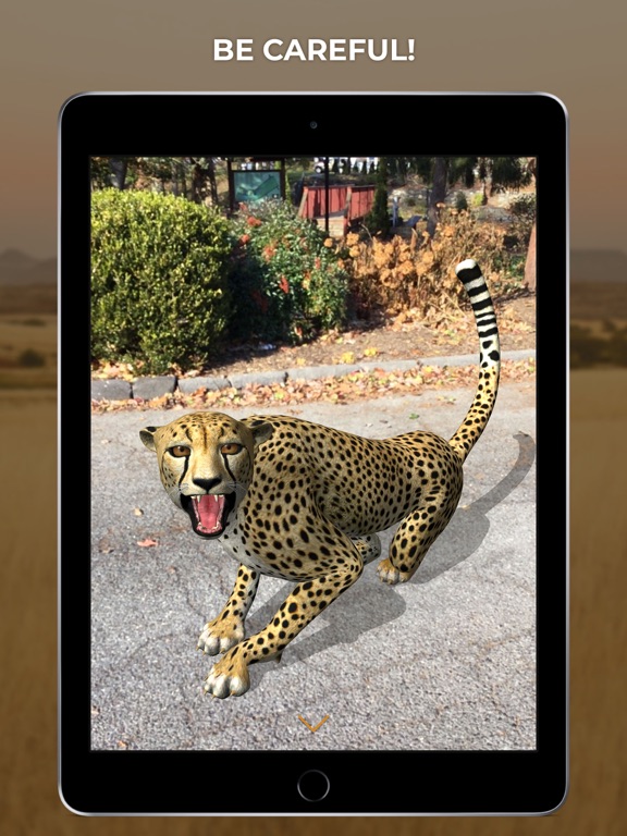 Virtual Cheetah iPad screenshot 3 - Education app