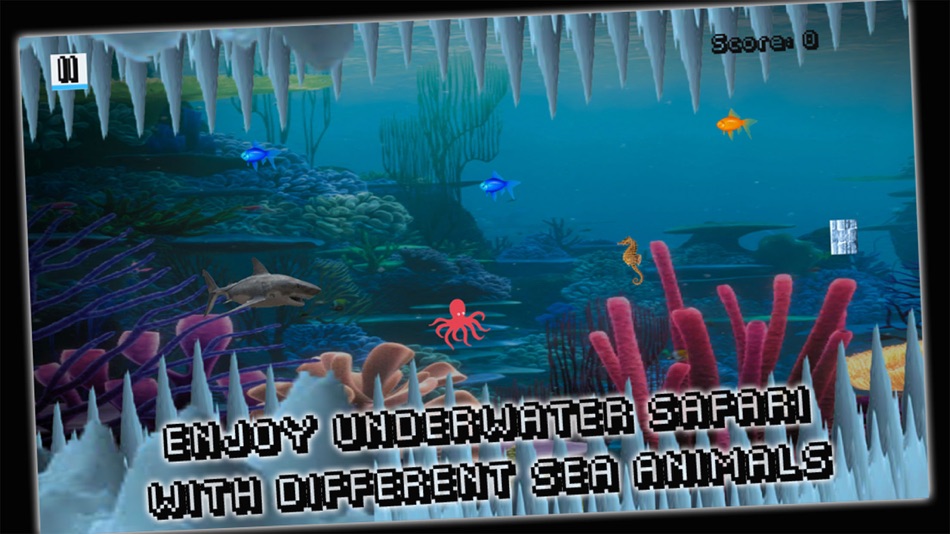 Splashy Shark - Fish Adventure - 1.2 - (iOS)