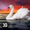 Swan Bird Simulator 3D