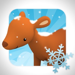 Bongobos Winter