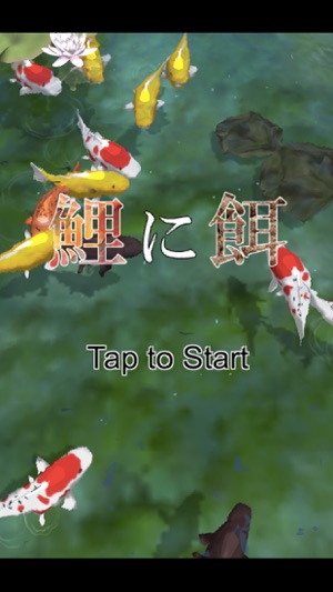 Carp bait -鯉に餌-