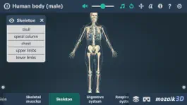 Game screenshot Human body (male) 3D hack