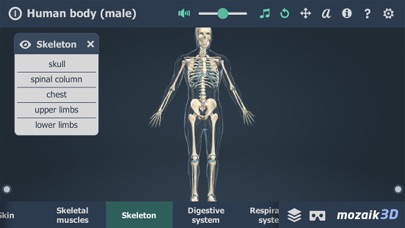 Screenshot #3 pour Human body (male) 3D
