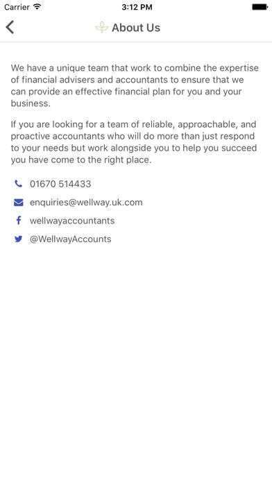 Wellway Chartered Accountants screenshot 2