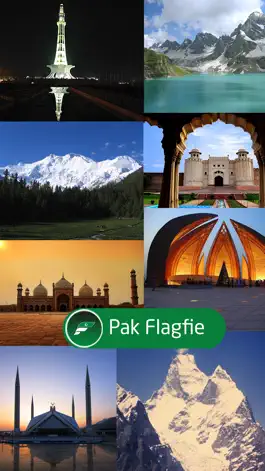 Game screenshot Pakistan Flagfie : Selfie With Pak Flag mod apk