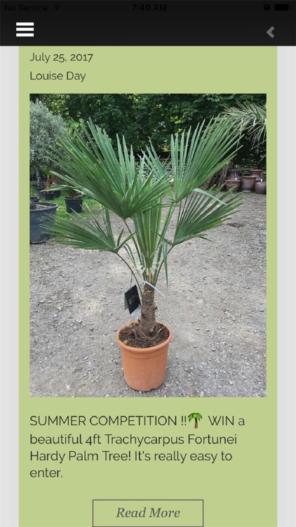 The Palm Tree Company screenshot-4