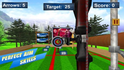 Archery Target Master Pro screenshot 1