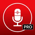 Voice Recorder & Audio Memo + App Problems