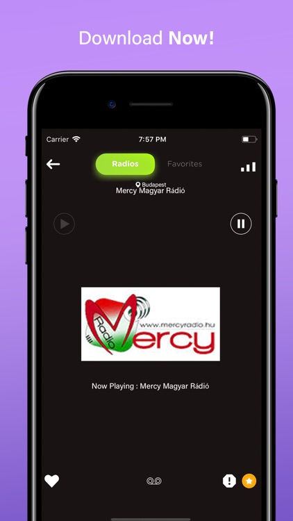 Radio Hungary FM Online screenshot-3