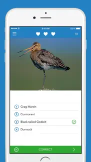 birds pro hd iphone screenshot 4