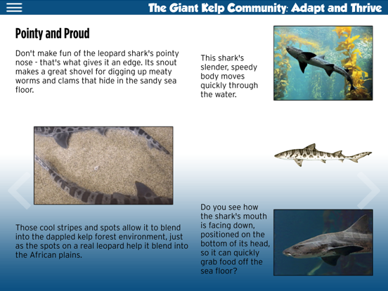 The Kelp Forest ebook iPad screenshot 5 - Education app