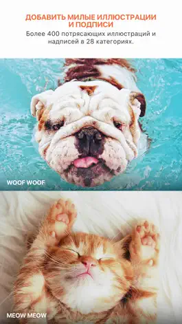 Game screenshot Pet Pics - Pet Photo Editor apk