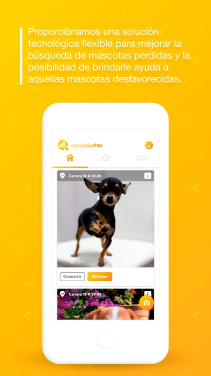 CorazonPet