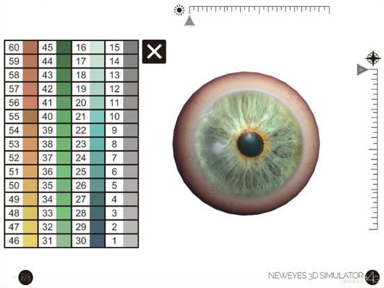 NewEyes 3D Simulator iPad screenshot