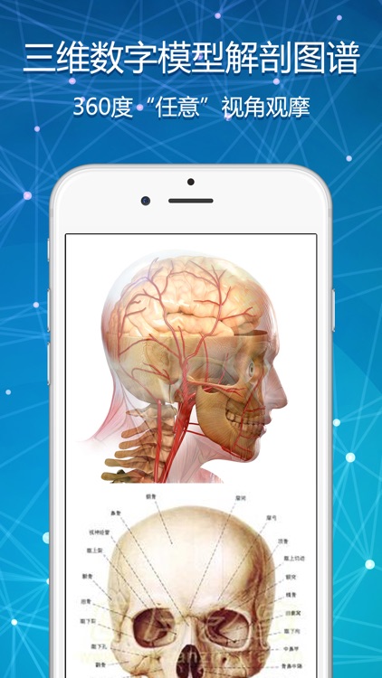 3Dbody解剖学-2018版人体解剖学图谱测试