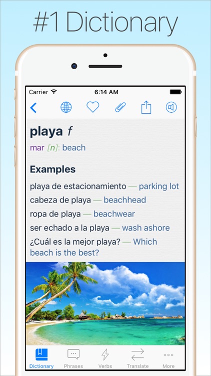 Spanish Translator & Dict +