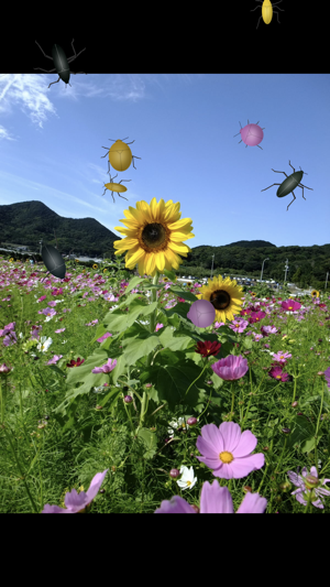 Insects Fake Screen(圖3)-速報App