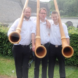 Völlinghauser Alphornys