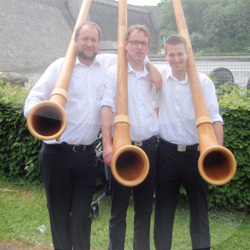 Völlinghauser Alphornys