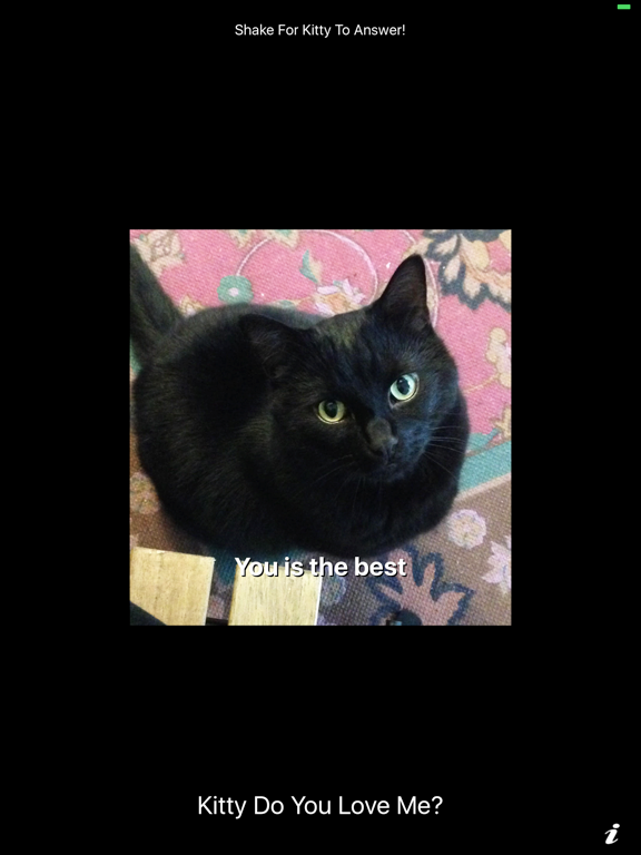 Kitty Do You Love Me? iPad screenshot 1 - Entertainment app