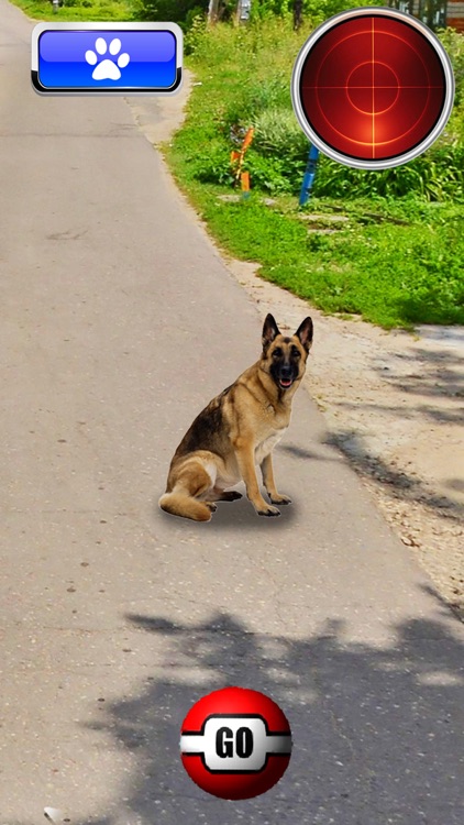 Pocket Dogs GO AR screenshot-3