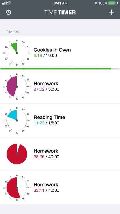 Time Timer