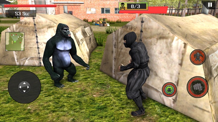 Ape Vs Ninja Assassin Fighting