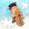 Cute World Animal Jigsaw Plus