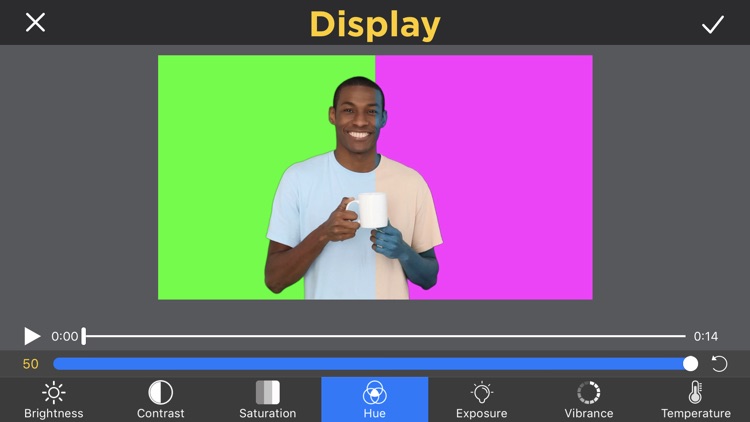Perfect Video Pro
